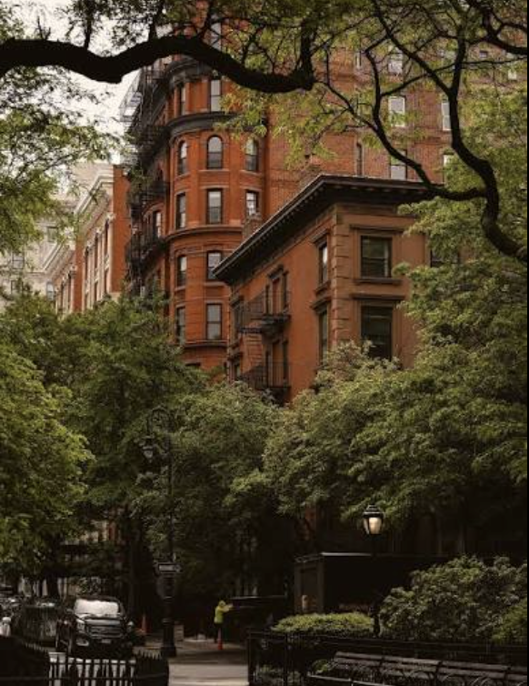 Tree-lined New York City street with brownstone buildings